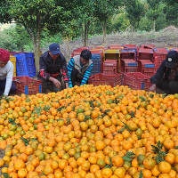 लोक सेवा विशेष वस्तुगत प्रश्नोत्तर