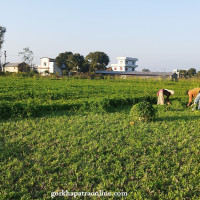 बालिका अपहरण गर्ने तीन जना भारतीय नागरिक कारागार चलान