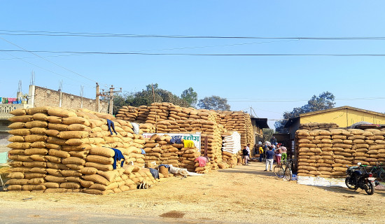 मिलमा राखिएका धानका बोरा