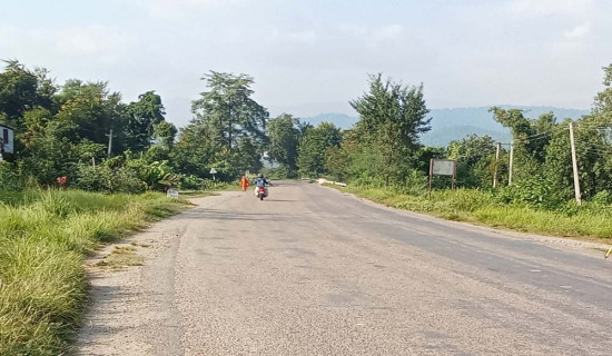 बुटवल–गोरुसिङ्गे सडक स्तरोन्नति हुँदै