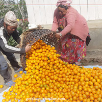 रुपन्देही बस दुर्घटनामा परेका आठ मृतकको सनाखत