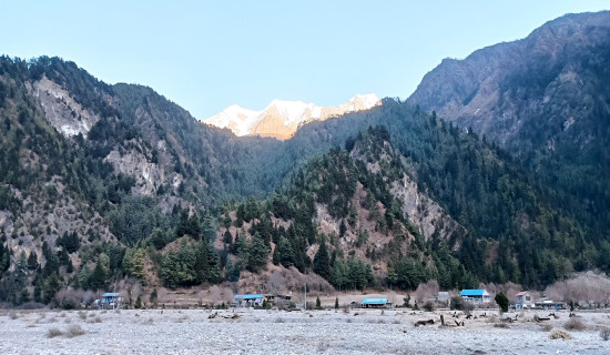 रुपन्देही बस दुर्घटनामा परेका आठ मृतकको सनाखत