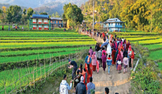 कठपुतलीको बिहेमा जन्ती बनेर गुटुतिर