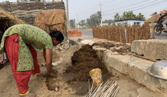 अझै गुइँठा बाल्न बाध्य छन् तराईका महिला