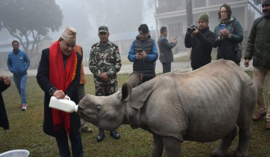 गैँडाको संरक्षणमा हातेमालो गरौँ : वनमन्त्री शाही