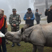 सङ्घीय र प्रदेश सरकारबाट पुनर्निर्माणको नीतिगत निर्णय आएन