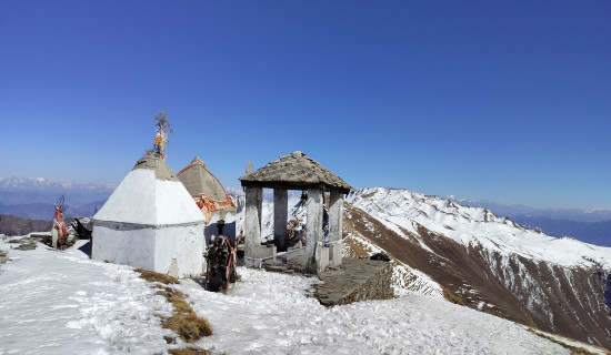 राष्ट्रिय सभाका उपाध्यक्ष अर्यालको राजीनामा