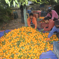 राष्ट्रपति  पौडेल शनिबार देवघाट आउनुहुँदै