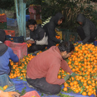 बेपत्ता तामाङलाई खोज्न सेतीको बाँध खोलिने