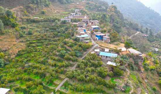 परिपूरणका योजना कार्यान्वयनमा आउँछ : मुख्यमन्त्री आचार्य