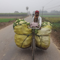 विद्युतीय उपकरण बिग्रिने जोखिम बढ्दो