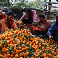 ठडिए द्वन्द्वमा जलेका अदालत भवन