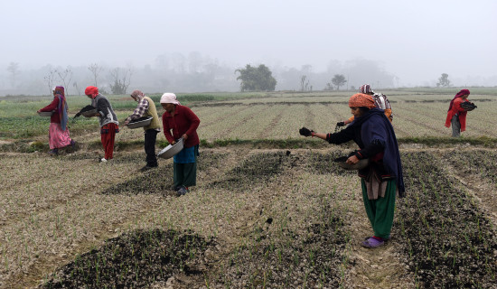 ठडिए द्वन्द्वमा जलेका अदालत भवन