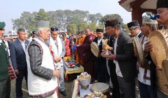 नमुना एकीकृत बस्ती असफल