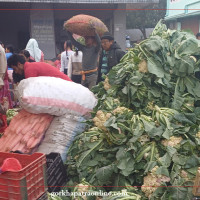 ट्रक दुर्घटनामा चालक घाइते