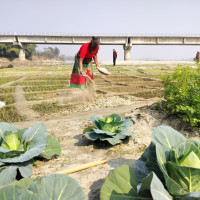 एरिकालाई युएसए ओपन कराँतेमा स्वर्ण र रजत पदक