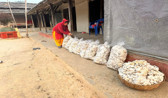 हराउन थाल्यो गाउँघरका महिलाले खोपाउने ‘गोदना’