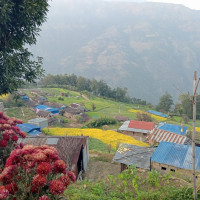 अभिनेता शाहलाई थुनामै राख्न उच्च अदालतको आदेश