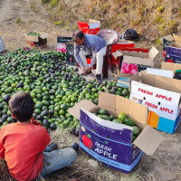 वार्ता गरी पाथीभरामा केबलकार निर्माण अघि बढाइने