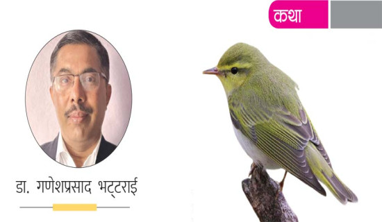 फिस्टाको बुद्धि  (कथा)