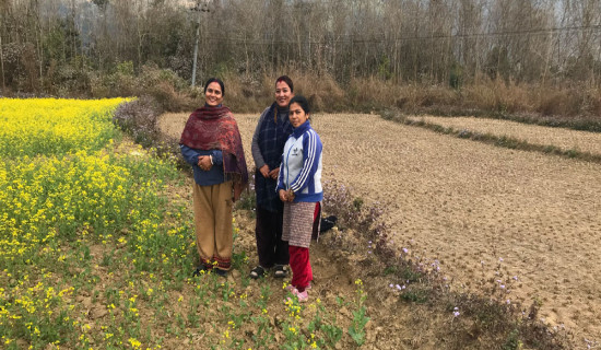 मलको आपूर्तिका लागि भारतसँग कूटनीतिक पहल गरौं : डा. सङ्ग्रौला