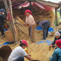 वरिष्ठ पत्रकार नेपाल पुरस्कृत