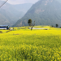 पूर्वाधार केन्द्रित बजेट