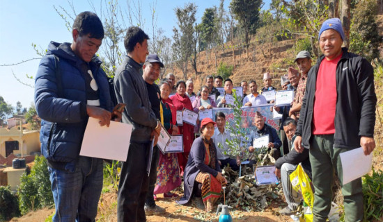 मलको आपूर्तिका लागि भारतसँग कूटनीतिक पहल गरौं : डा. सङ्ग्रौला