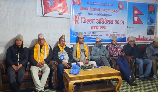 नेपाल निजामती कर्मचारी सङ्गठनको अध्यक्षमा शर्मा