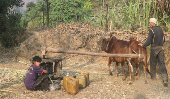 हिउँदे अधिवेशनमा कतै नअल्झी धेरै कानुन बनाउँछौँ : सांसद राई