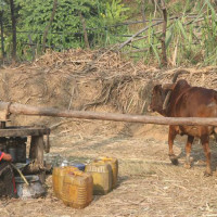 राजश्वलाई देश निर्माणको आधार बनाउनुपर्छ : गोकुल बाँस्कोटा