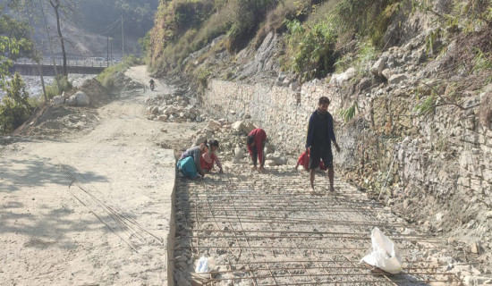 उदीपुर-रिठ्ठेबगर-नौथर सडक अलपत्र