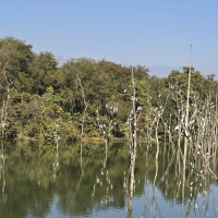 रुपन्देही १ को (ख) मा कांग्रेसका अब्दुल रजाक गद्दी विजयी