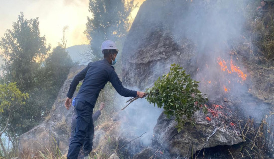 पाँच दिनसम्म पनि नियन्त्रणमा आएन डढेलो, २० घर उच्च जोखिममा