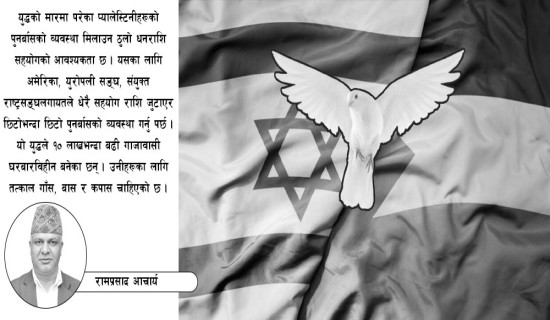 युद्धविरामले पलाएको आशा