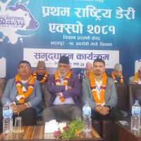 जोर्डनका राजाद्वारा प्यालेस्टिनीको विस्थापन अस्वीकार