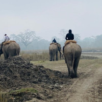 खानेपानी मन्त्रालयमा लागेकाे आगाे नियन्त्रणमा