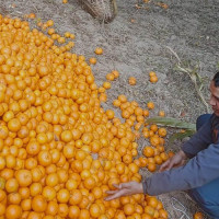 जसले विद्यालय जोगाए उनैबाट शिक्षक सम्मानित हुँदा ...