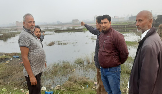 निकास नहुँदा वीरगञ्जको दुई सय बिघा खेतीयोग्य जमिन डुबानमा