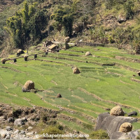 नवलपुरको डण्डाबाट देखिएको सुर्यास्तको दृष्य