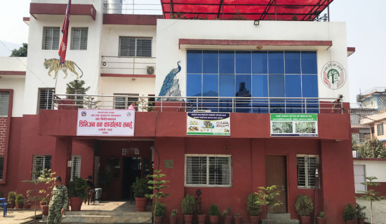 डढेलो नियन्त्रण गर्न विशेष अभियान