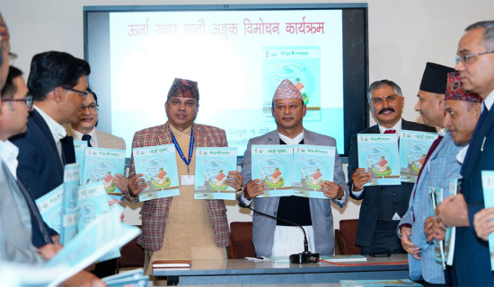 ‘१७ हजार मेगावाट विद्युत् निर्यात गर्नेगरी भारतसँग सहमति’