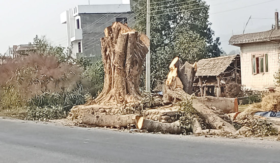 पालिकाबाट सदरमुकाम पुग्नै एक दिन :  तीन दिनसम्म पालो कुर्नुपर्ने