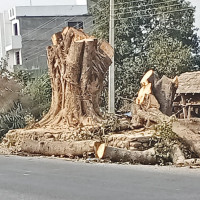 अक्सिजन प्लान्ट हुँदाहुँदै सिलिन्डर भर्न धनगढी