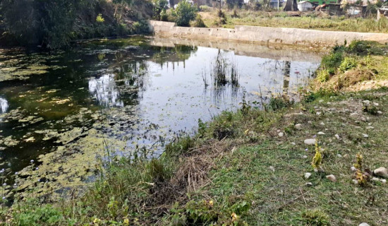 मानव–वन्यजन्तु द्वन्द्व न्यूनीकरण, सिमसारको पुनरुत्थान