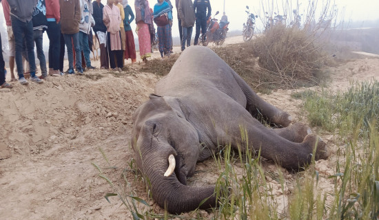 बझाङमा ‘अस्थायी भूकम्प मापन केन्द्र’ निर्माण