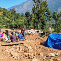 श्रीमानद्वारा श्रीमतीको बीभत्स हत्या