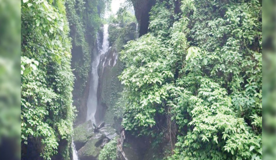 ताप्लेजुङमा औद्योगिक तथा पर्यटन मेला