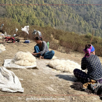 सगरमाथा विमानस्थल चर्चामा मात्रै