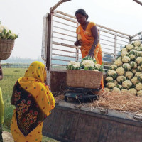 बाँकेमा तीन हजार मेट्रिक टन मल माग